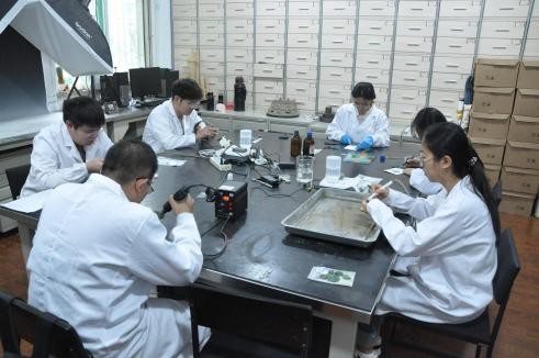 图片226.jpg